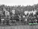 Οπαδοί του Παναθηναϊκού το 1965 στο γήπεδο της Λεωφόρου Αλεξάνδρας paopedia.gr